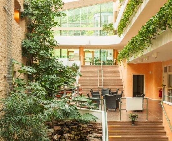 Office Plant Services in Provo, UT