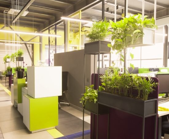 Office Plant Services in Provo, UT
