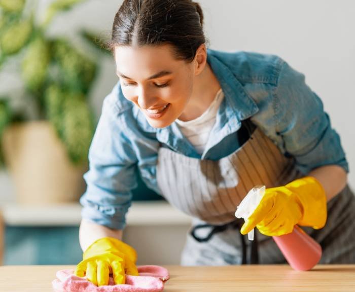 Professional House Cleaning Services: North Ogden